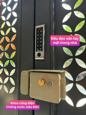 Khóa Thông Minh: Giải Pháp An Toàn Hiện Đại Cho Mọi Gia Đình 4 Đầu Đọc Vân Tay DD39T DSmart TTLock