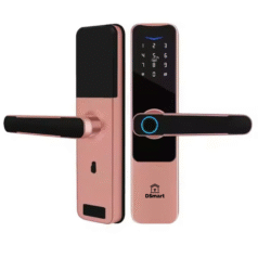 Khóa vân tay DSmart PN09T thiết kế sang trọng cho cửa phòng