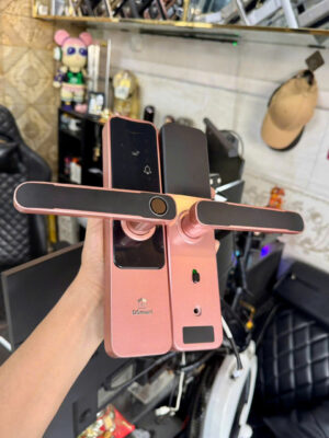 DSmart PN09T – Khóa Vân Tay Thông Phòng 12 Khóa vân tay màu hồng vàng lắp cửa gỗ thông phòng