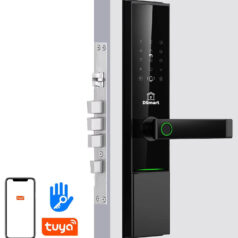 DSmart PL12T khóa vân tay hiện đại cho cửa căn hộ chung cư