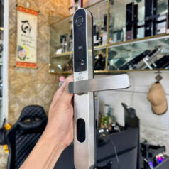 khoa-thong-minh-dsmart-n79t-mau-xam