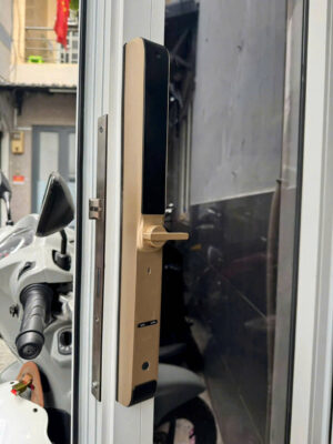 Khóa cửa nhôm FaceID ngoài trời chống nước DSmart NX30T-F